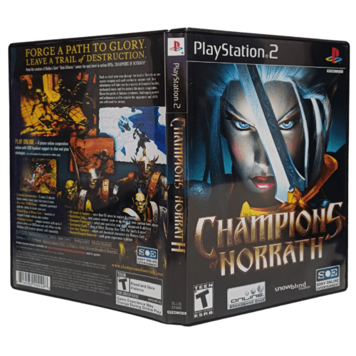 Champions of Norrath - Playstation 2 - Reprô - Image 3